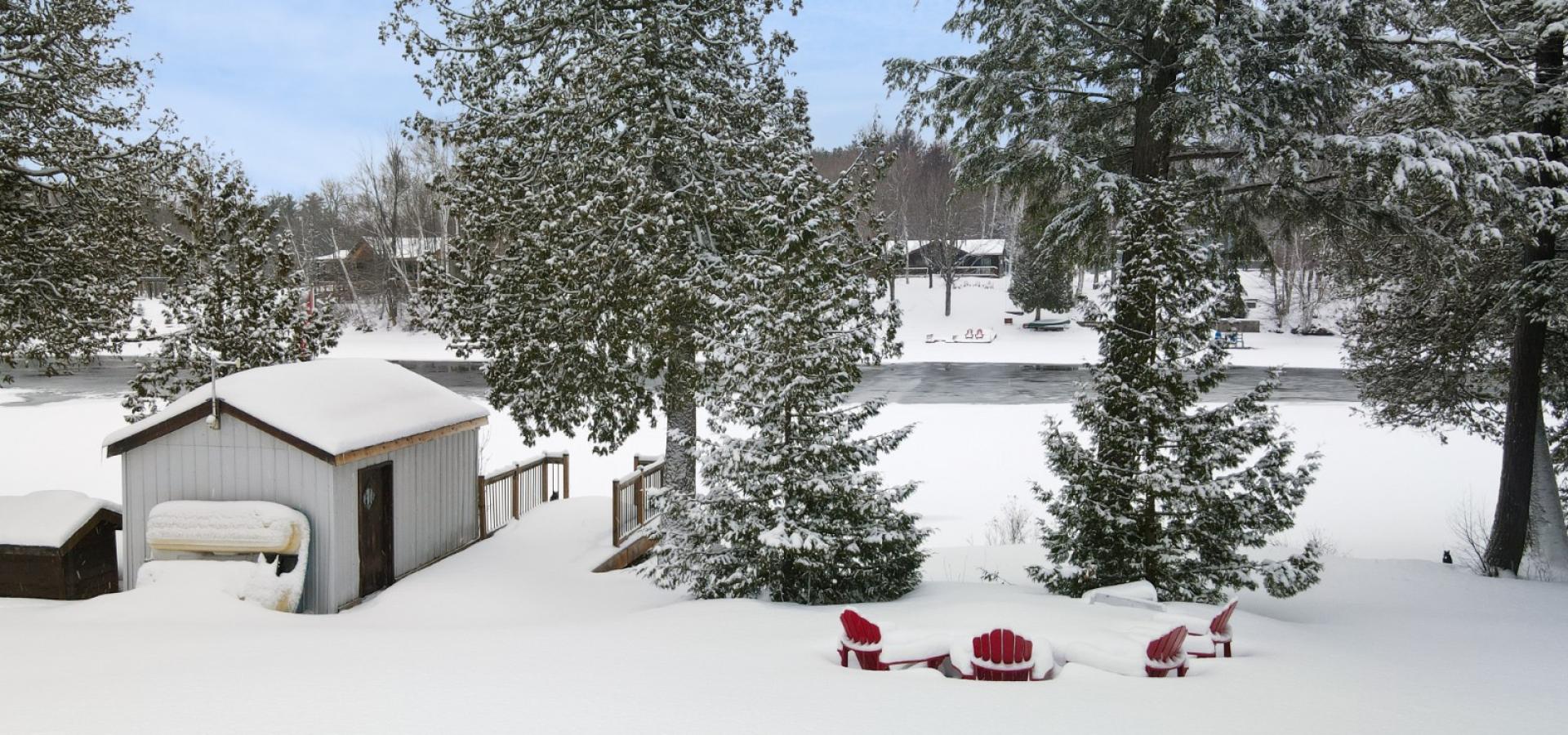 View from deck with patio table and umbrella, with trees in the background.