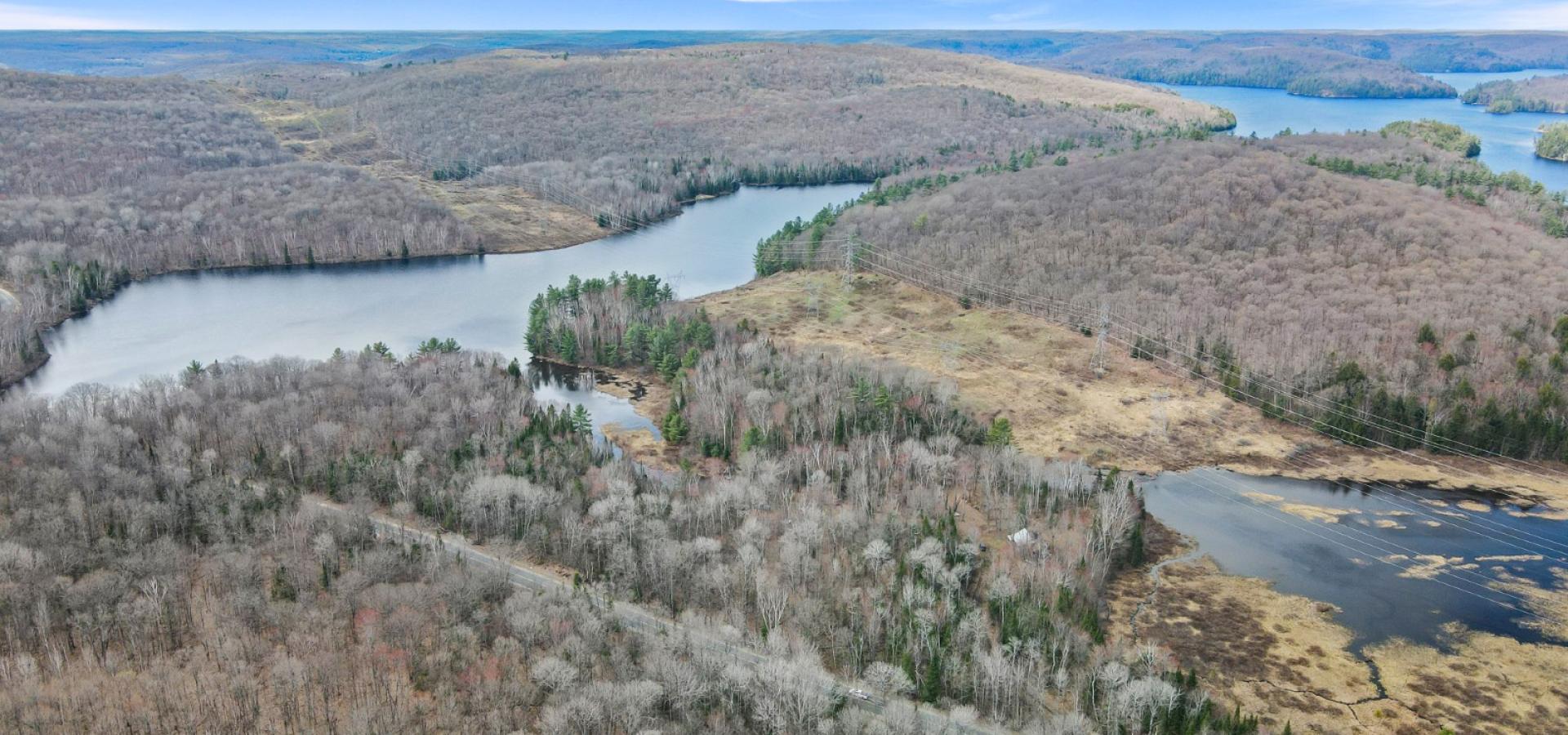 aerial view over trees with a lake in the distance
