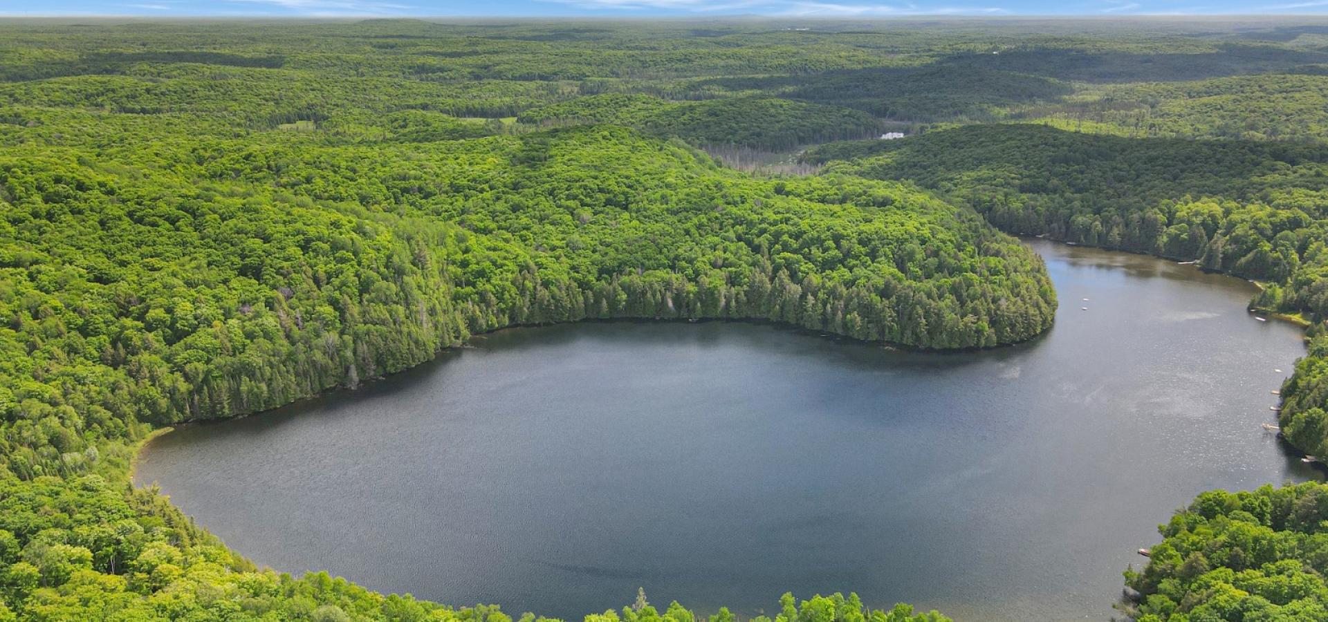 Lake with surrounding forest and blue sky.