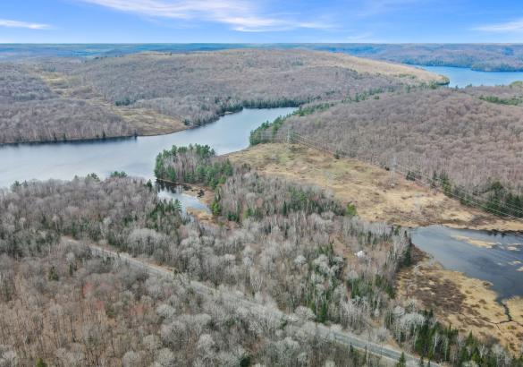 aerial view over trees with a lake in the distance