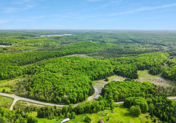 aerial view of a building lot