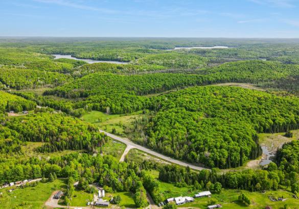 Aerial View of a building lot with trees