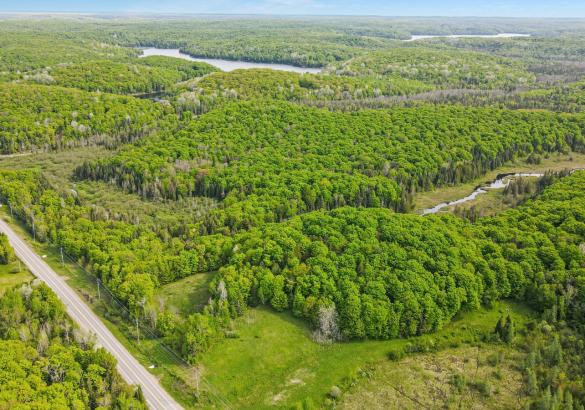 Aerial view of a lot