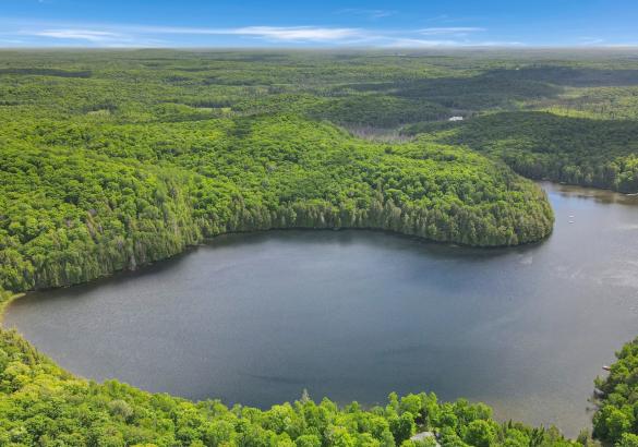 Lake with surrounding forest and blue sky.
