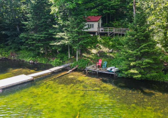 Yellow cabin with red roof hidden behind trees, grass hill leading to a long dock out into the water, and a red & green muskoka chair.